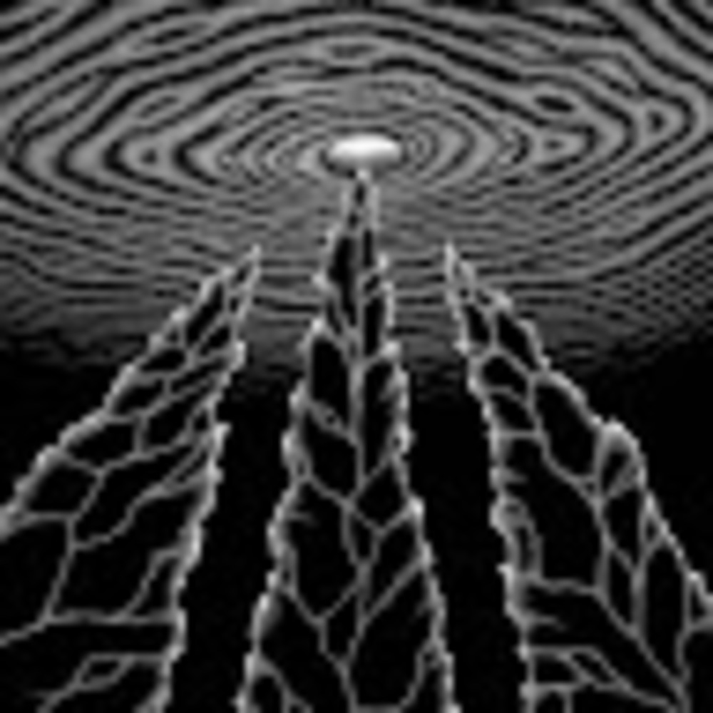 Meet your Posher, Francisco